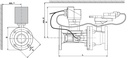 ImagesTemp: 61155_02.jpg (dimensions)