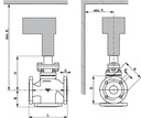 ImagesTemp: 61883_02.jpg (dimensions)