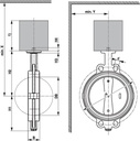 ImagesTemp: 62034_02.jpg (dimensions)